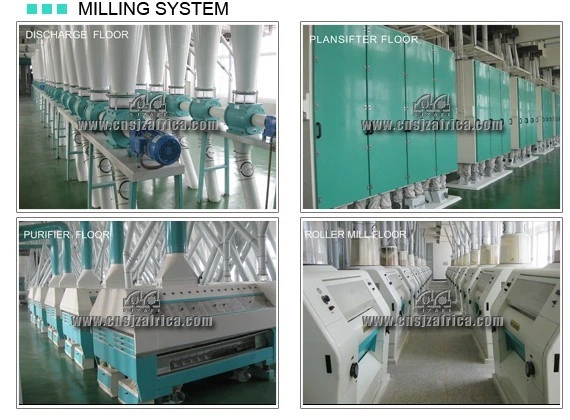 European Standard Wheat Flour Mill