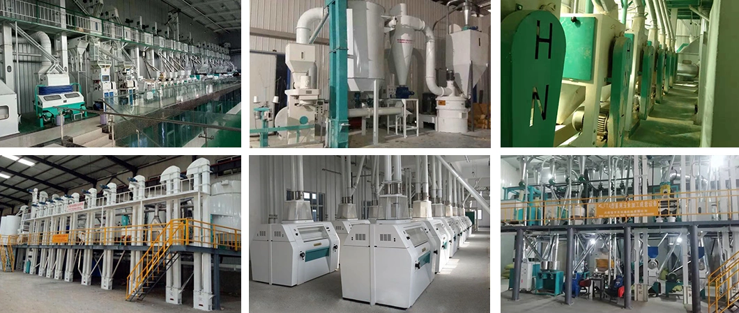 Machine De Dé Coupe De Lentilles Soybean Washing Machine Soybean Milk Tofu Making Machine